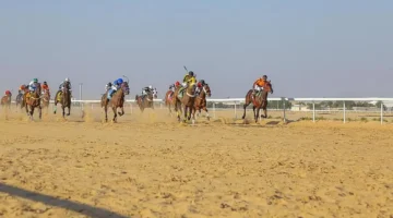 الفروسية في جازان.. مشاهد مهيبة ولوحات تراثية في احتفالات اليوم الوطني